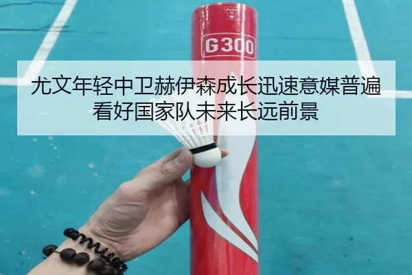 尤文年轻中卫赫伊森成长迅速意媒普遍看好国家队未来长远前景
